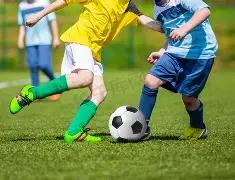 巴黎将签下,伊卡尔迪,转会金达,开云体育平台,开云体育官方网站,开云体育登录入口,开云体育app下载