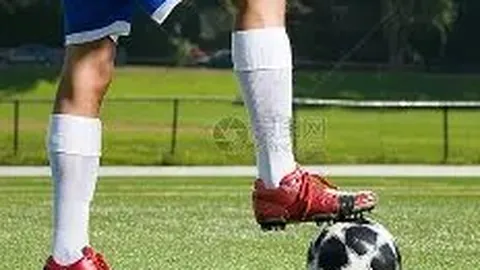 开云体育 资讯 135832 yma