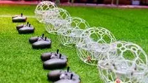 震撼回归！秦升刑满释放，变身多语种“叫兽+中场巨兽”，社交圈掀起八国语言风暴！